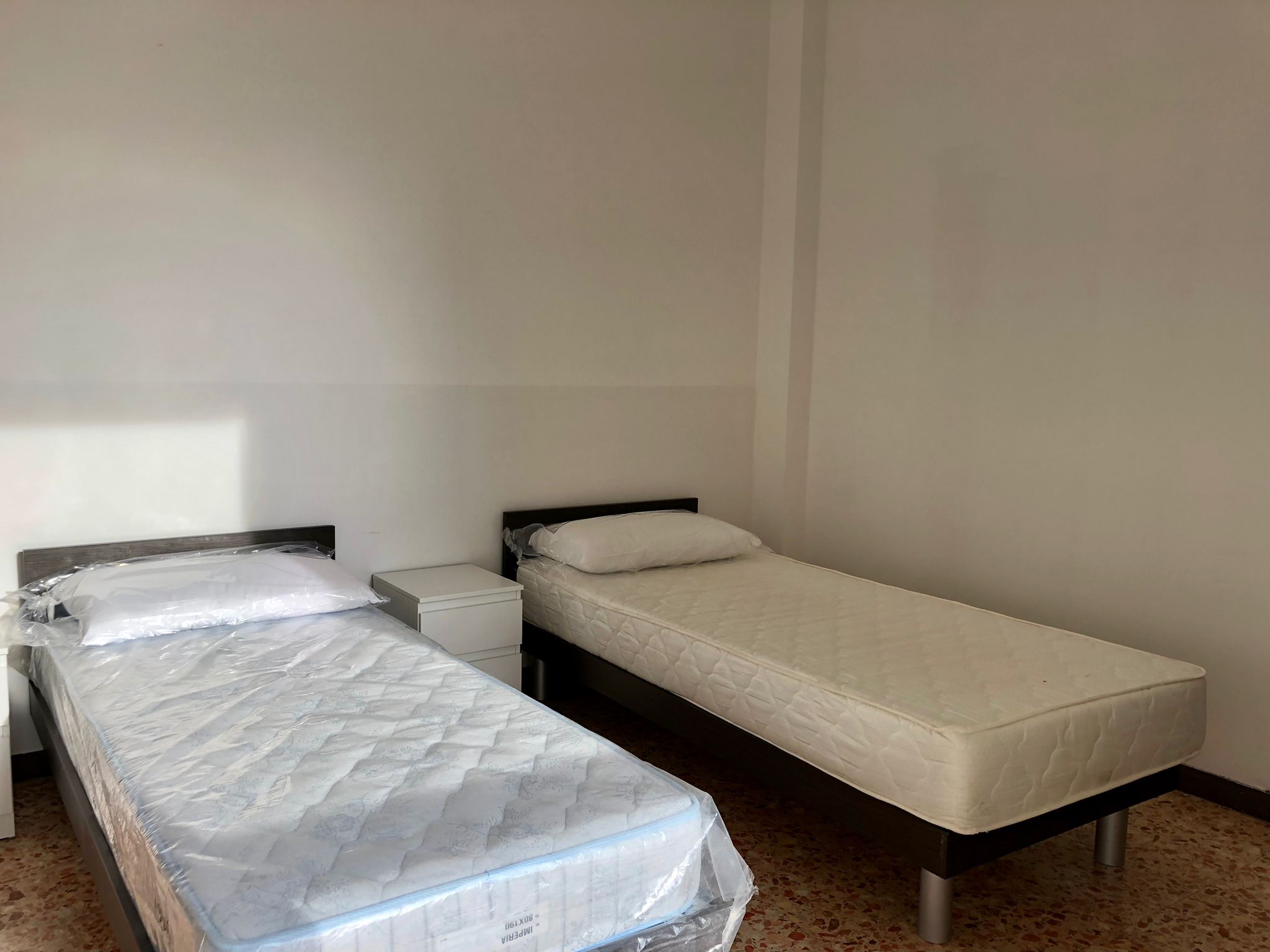 TITO LIVIO 26 - immagine 12