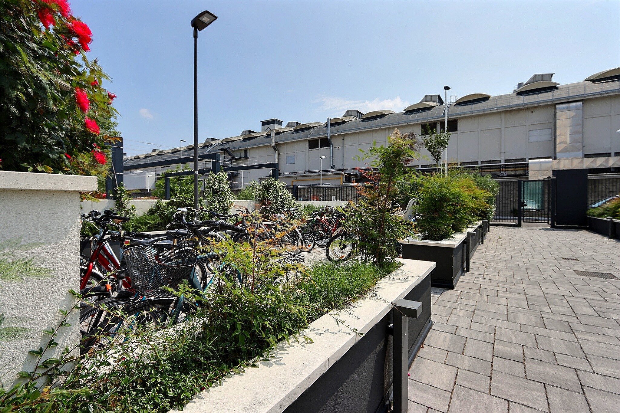 BSC BICOCCA 2.4 - immagine 23